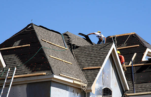 Best Storm Damage Roof Repair  in Moundville, AL