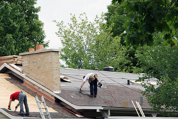 Best Roof Gutter Cleaning  in Moundville, AL
